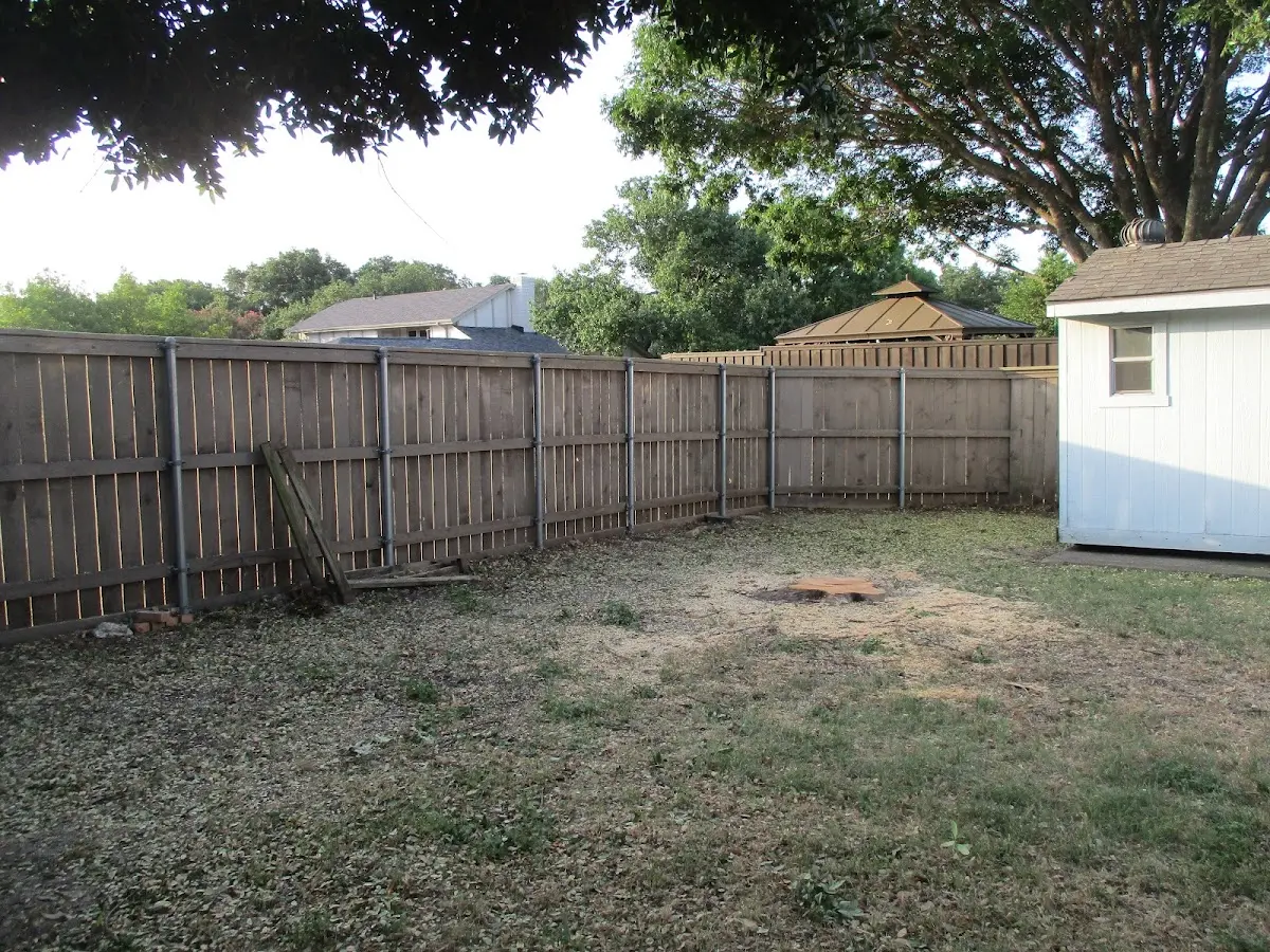 Cleared yard after professional tree removal in Pacific